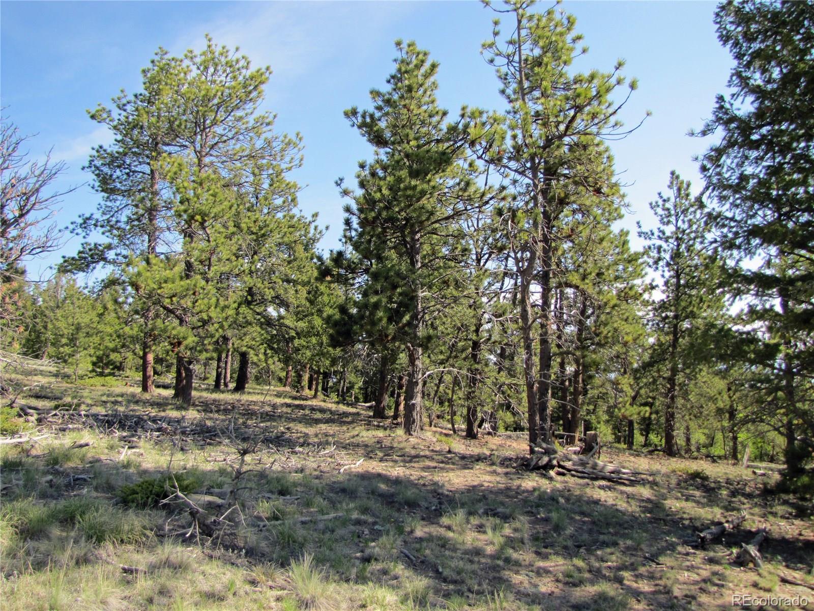 578 Singletree Road Hartsel, CO 80449 - Photo 11 of 11