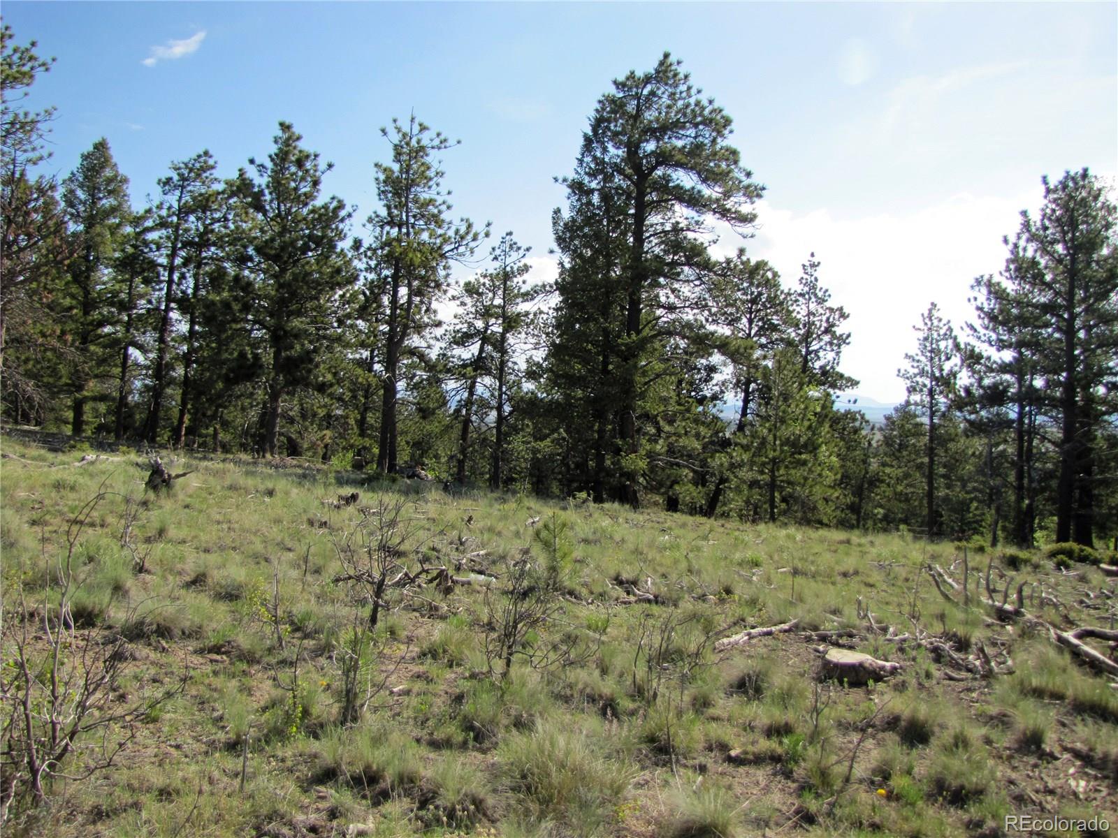 578 Singletree Road Hartsel, CO 80449 - Photo 2 of 11