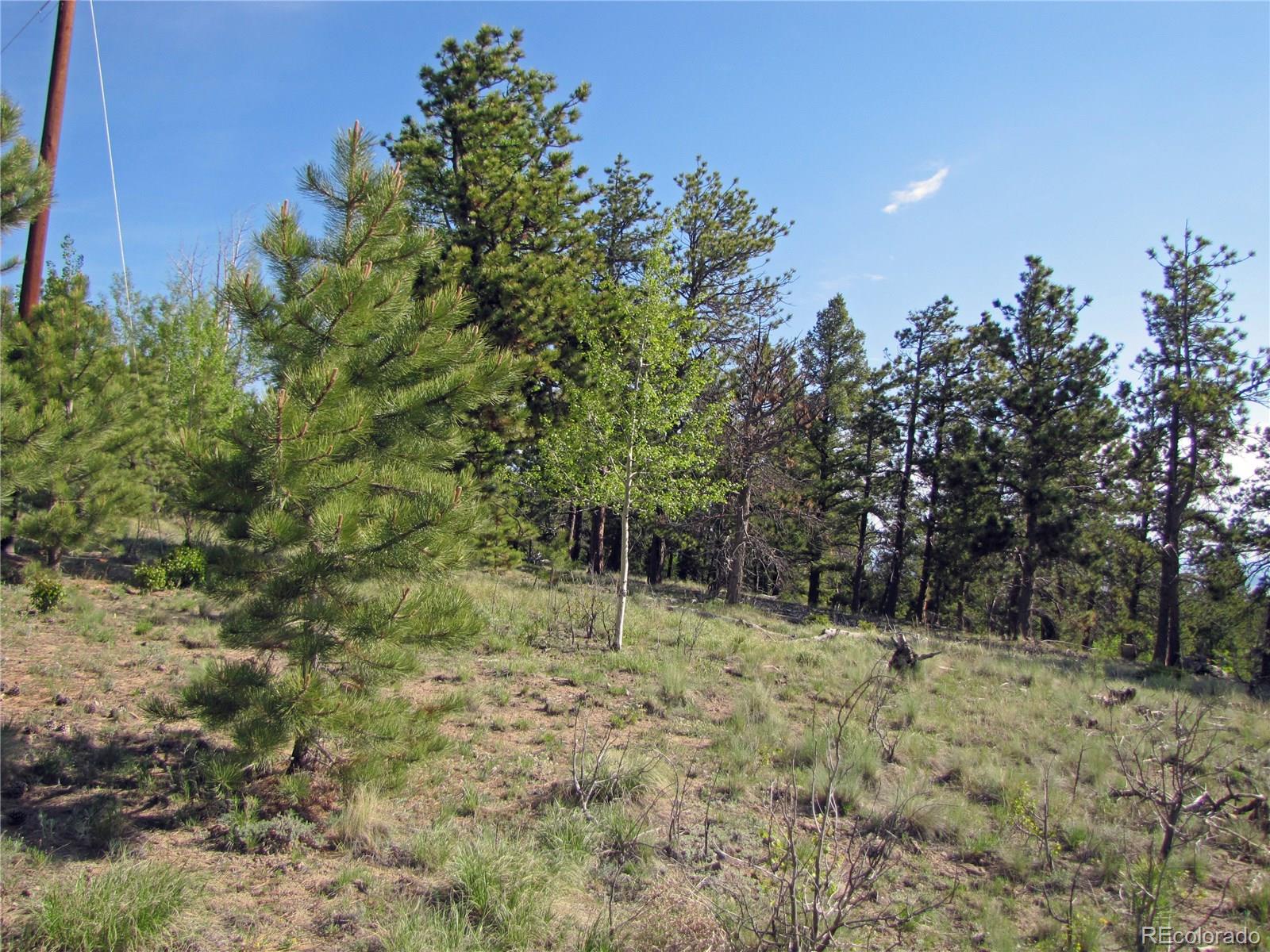 578 Singletree Road Hartsel, CO 80449 - Photo 3 of 11