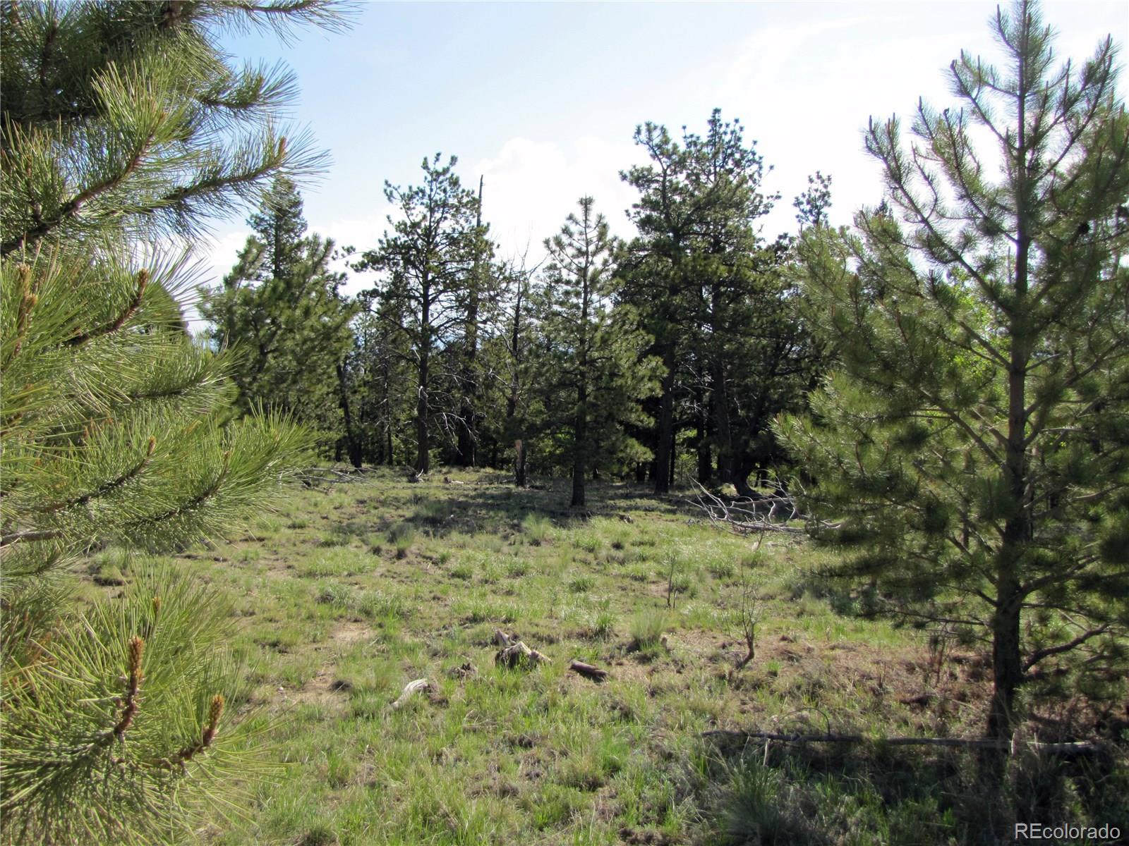 578 Singletree Road Hartsel, CO 80449 - Photo 5 of 11