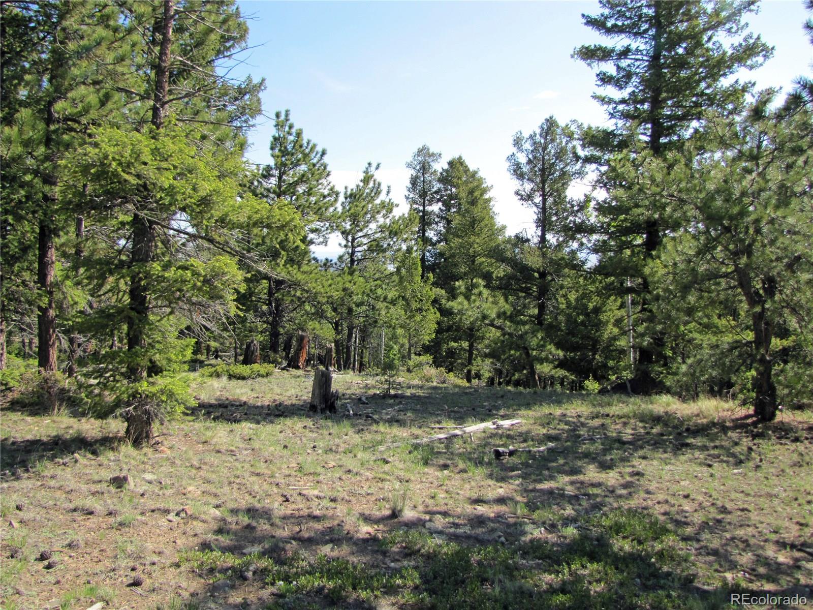 578 Singletree Road Hartsel, CO 80449 - Photo 9 of 11