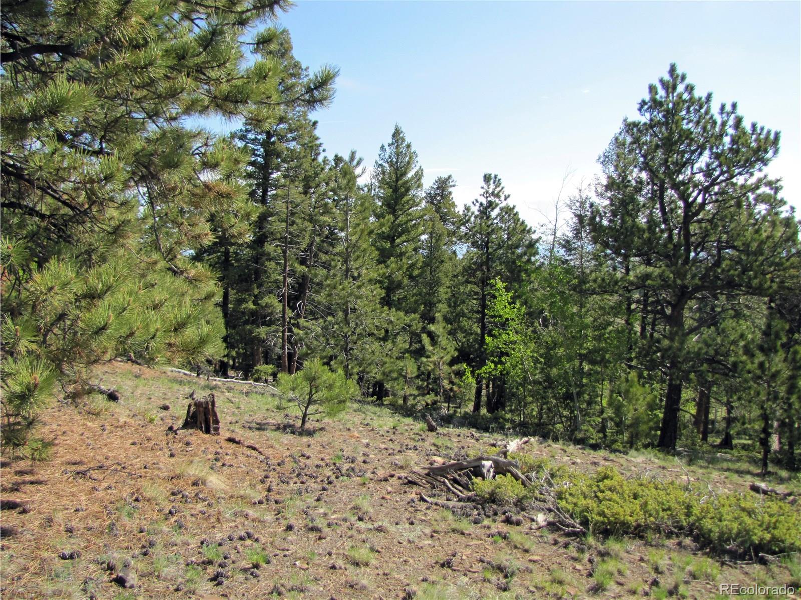 578 Singletree Road Hartsel, CO 80449 - Photo 10 of 11