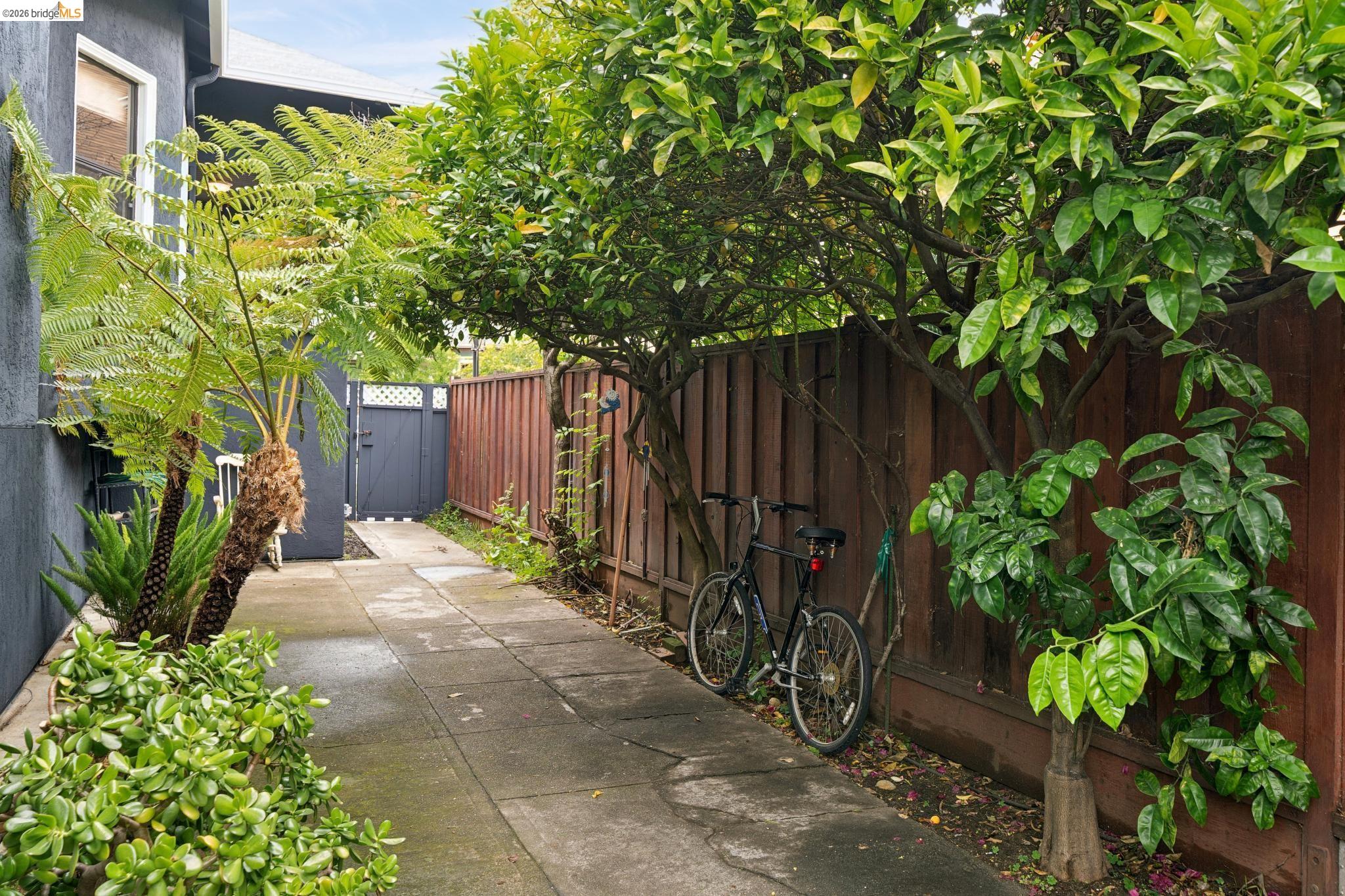892 Laurel Street Alameda, CA 94501 - Photo 44 of 45 Side walkway featuring concrete pavers, a privacy fence, and mature trees