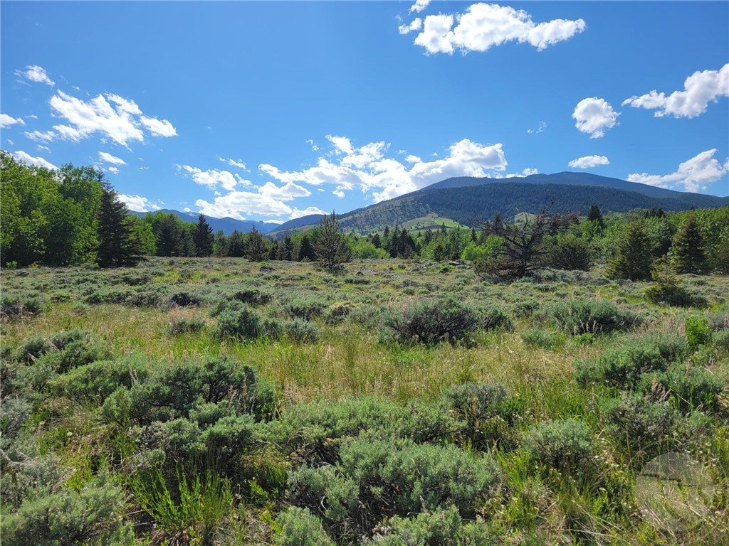 1 B Dillon Road Red Lodge, MT 59068 - Photo 1 of 1 Gallery Image 1