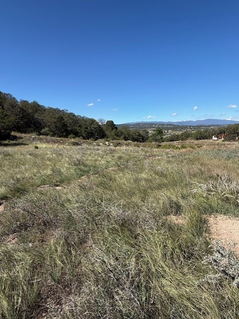 0 Edgewood Edgewood, NM 87015 - Photo 2 of 4