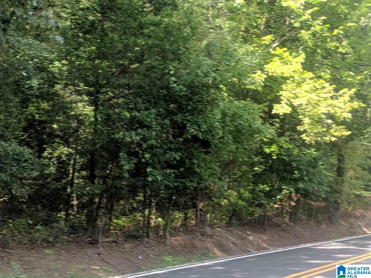 0 Old Broadwell Mill Road Jacksonville, AL 36265 - Photo 9 of 22