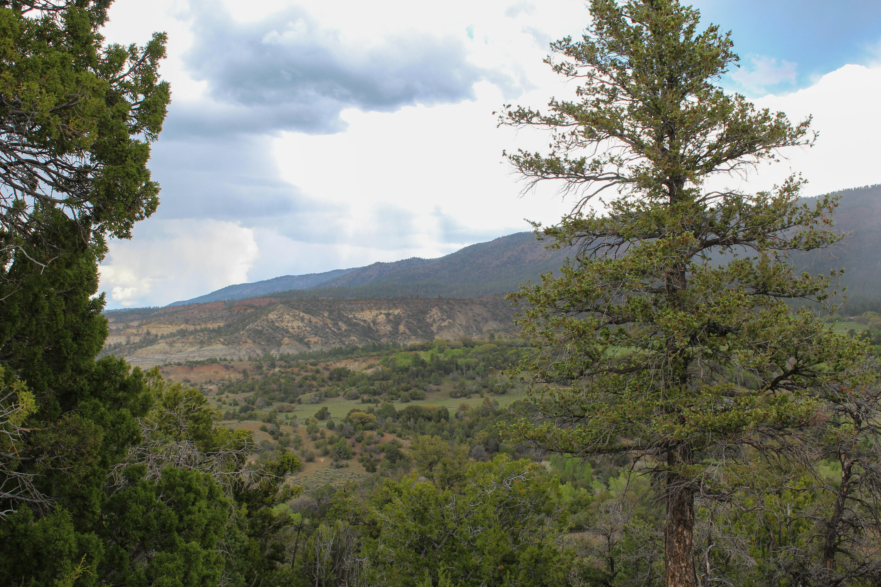 200 County Road Cuba, NM 87013 - Photo 40 of 70 Gallery Image 40