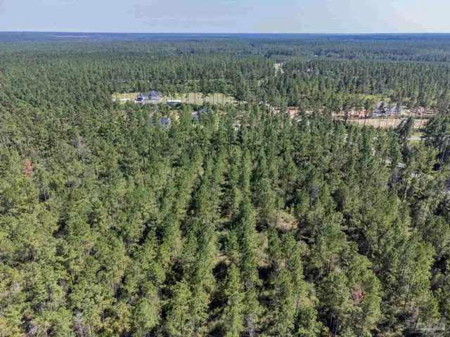 a view of a city with lush green forest