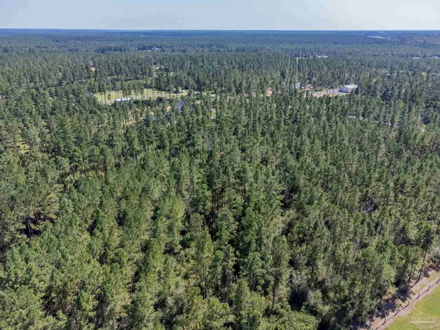 a view of a city with lush green forest