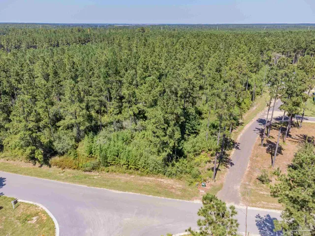 a view of a yard with an outdoor space
