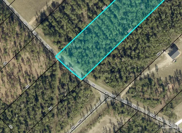 a view of a backyard with plants