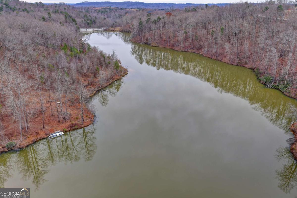 a view of a lake in middle of the forest