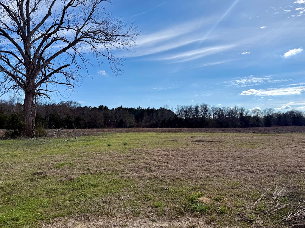 10.73-acres Huskey Road Dothan, AL 36303 - Photo 3 of 13