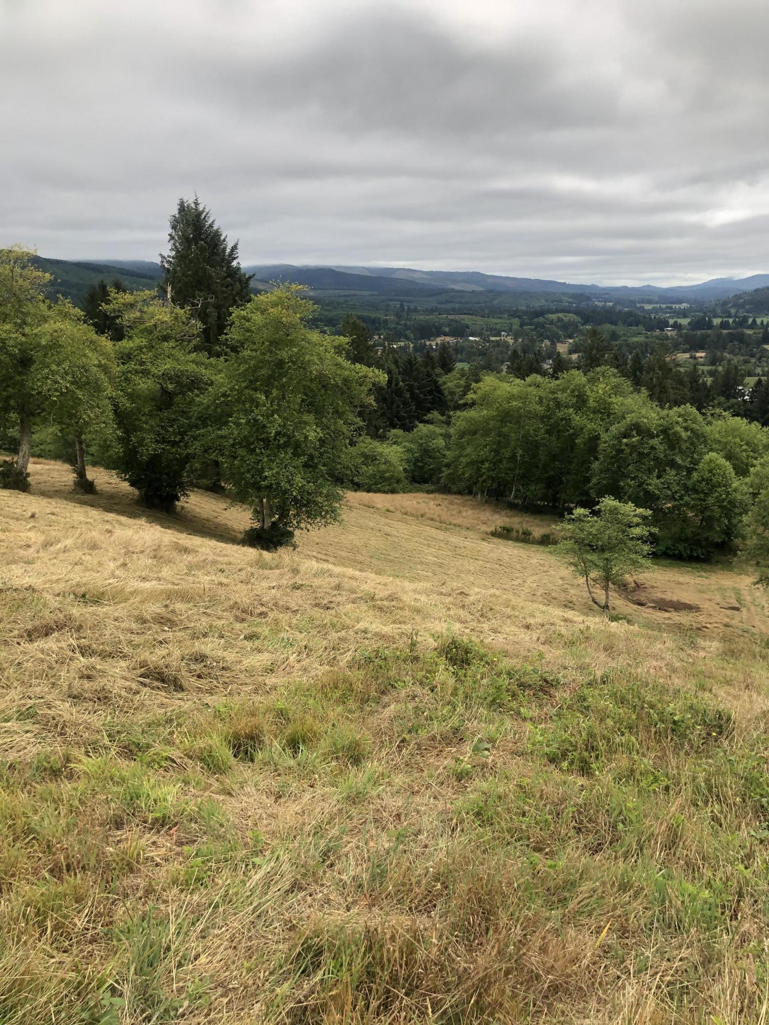 Lot 30 Skyview Road Tillamook, OR 97141 - Photo 12 of 15 IMG_9054