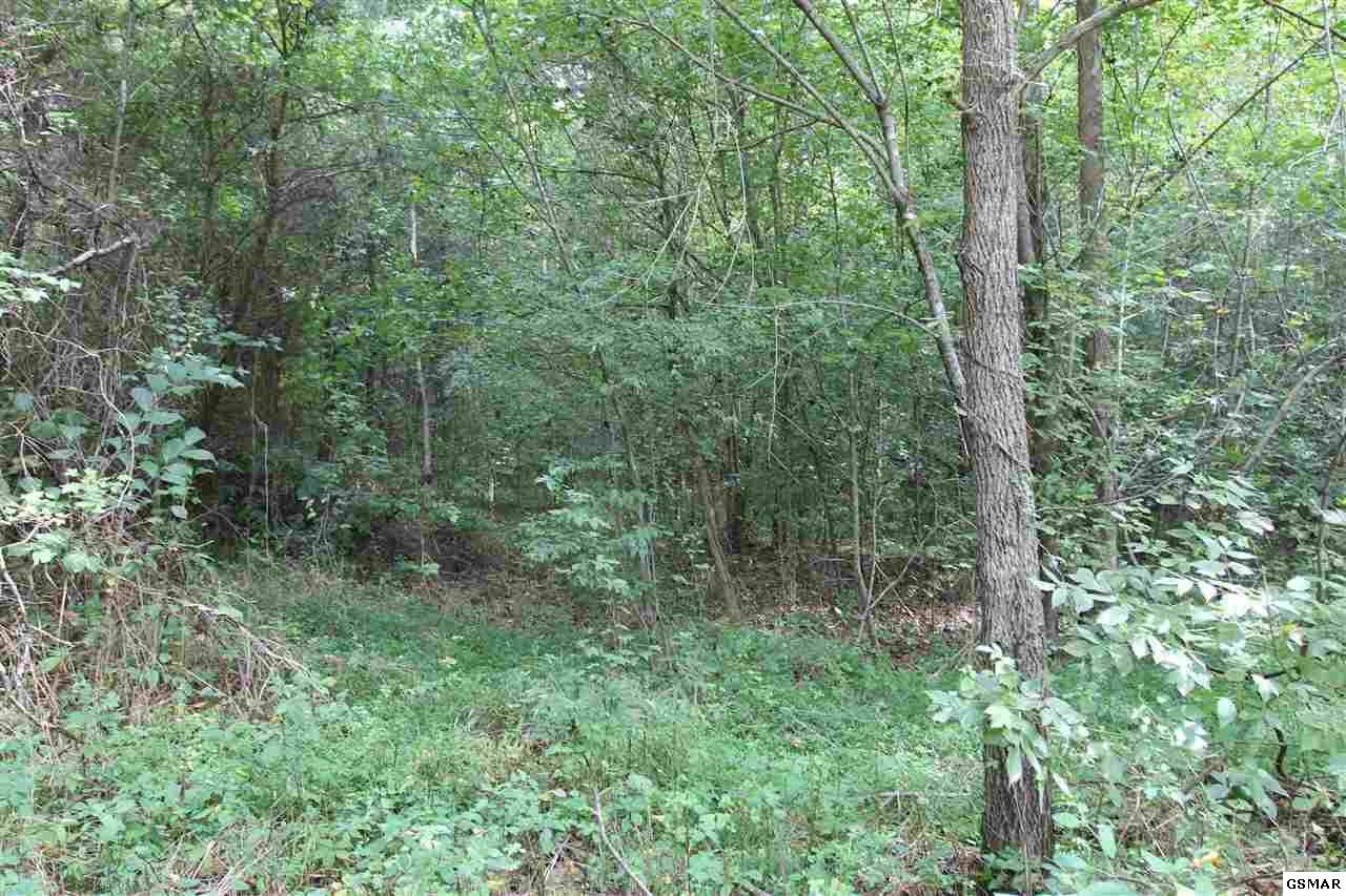 231 Reece Lane Seymour, TN 37865 - Photo 5 of 5 Gallery Image 5