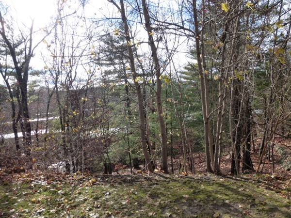 62 Jacqueline Road, Unit 3 Waltham, MA 02452 - Photo 3 of 27 Gallery Image 3