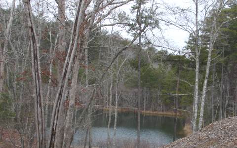 M2 My Mountain Road Blue Ridge, GA 30513 - Photo 1 of 1 Main View
