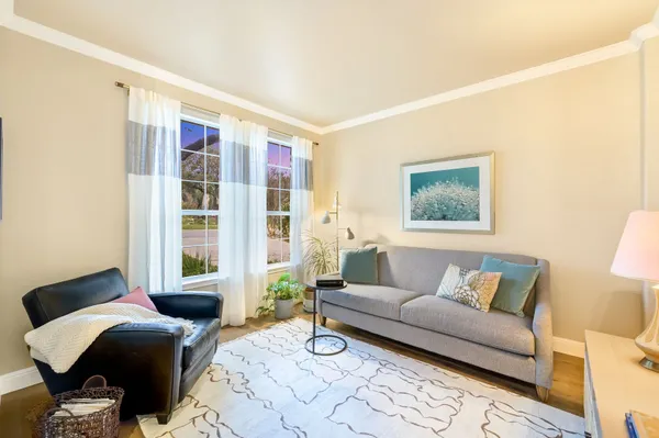 a living room with furniture and a potted plant