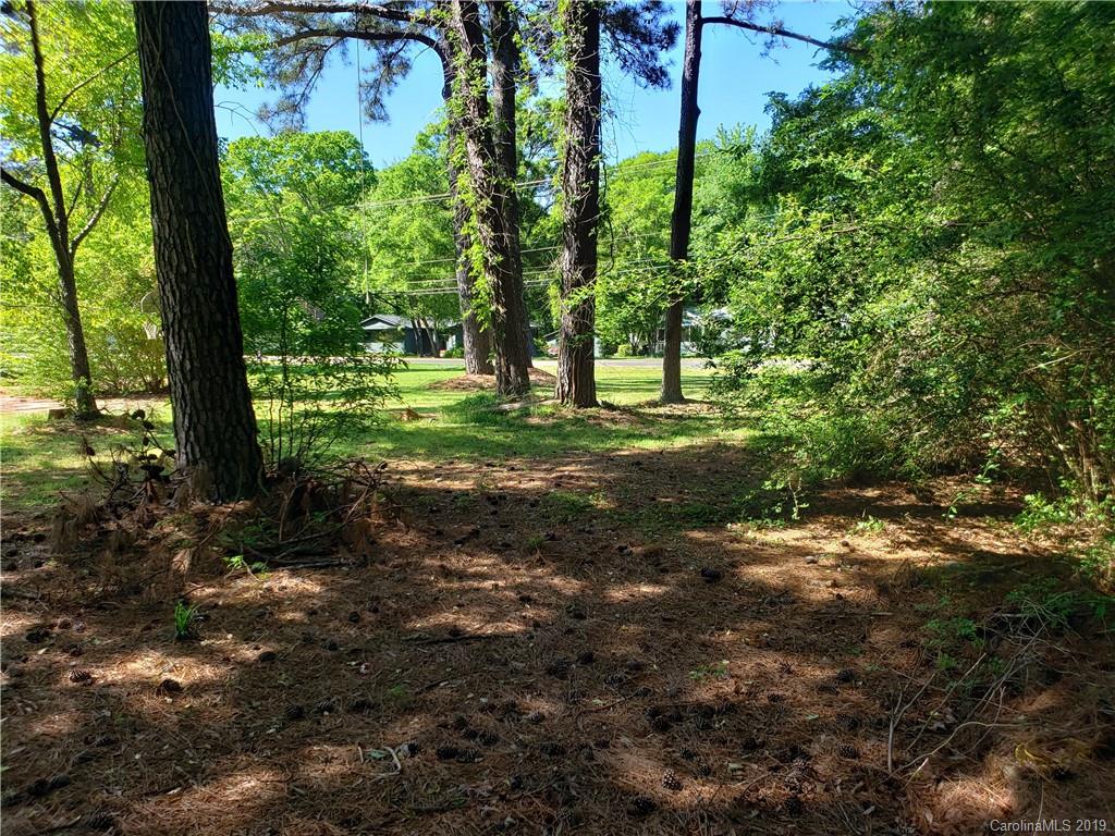 Lot 1 Hamilton Road Charlotte, NC 28273 - Photo 8 of 8 Gallery Image 8