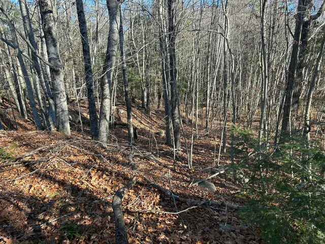 $35,000 | Lot 138 Pennmaric Road, Augusta, ME 04330