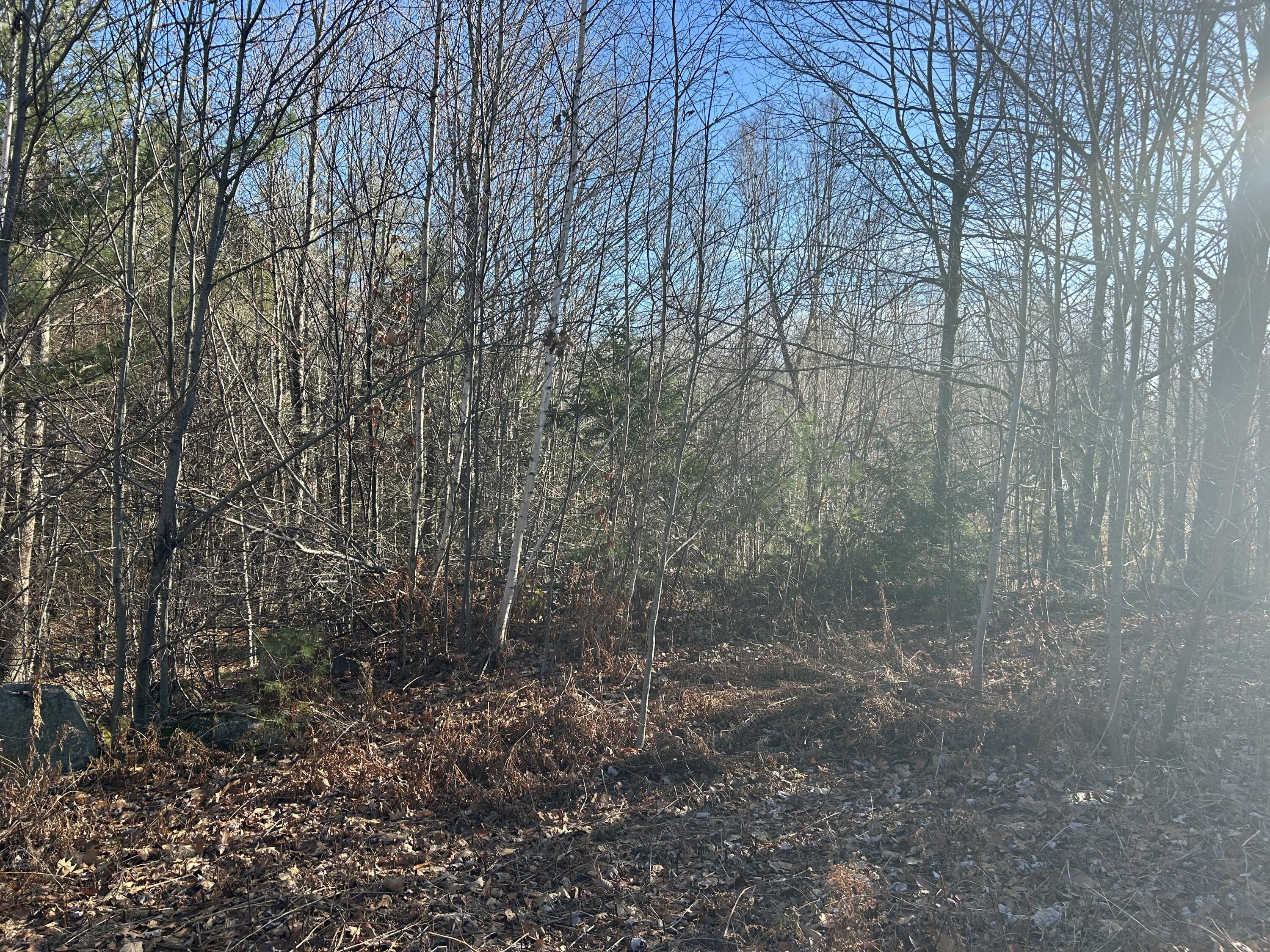 Lot 138 Pennmaric Road Augusta, ME 04330 - Photo 3 of 14 IMG_2373