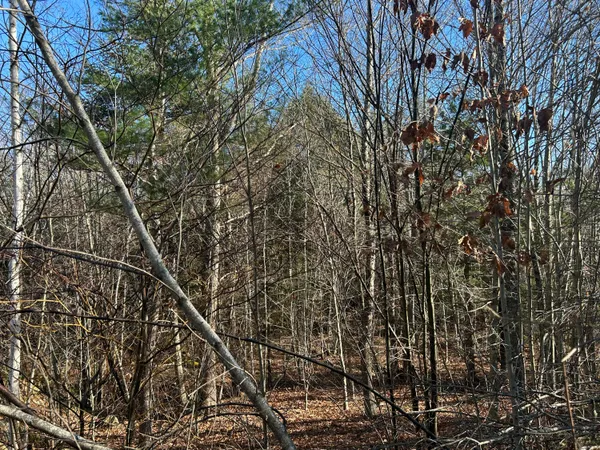 $35,000 | Lot 138 Pennmaric Road, Augusta, ME 04330