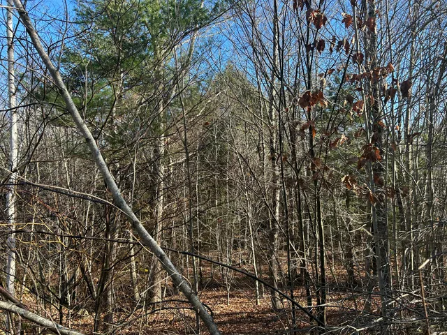 $35,000 | Lot 138 Pennmaric Road, Augusta, ME 04330
