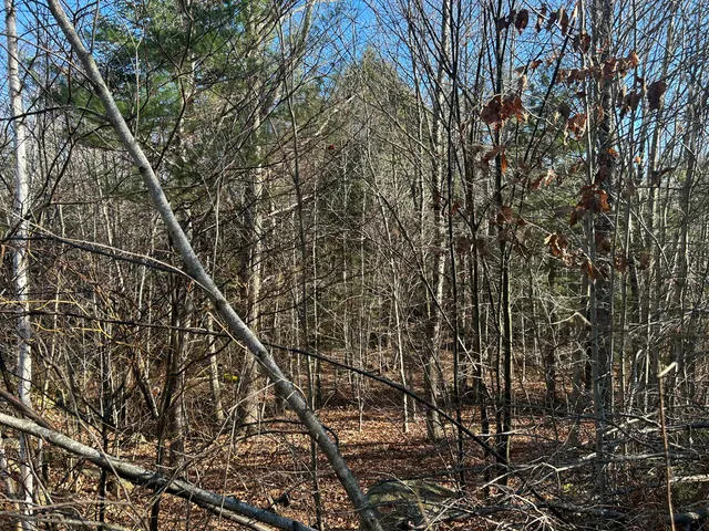 $35,000 | Lot 138 Pennmaric Road, Augusta, ME 04330