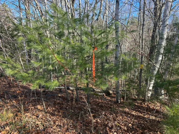 $35,000 | Lot 138 Pennmaric Road, Augusta, ME 04330