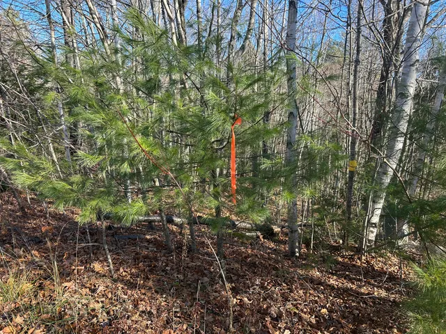 $35,000 | Lot 138 Pennmaric Road, Augusta, ME 04330