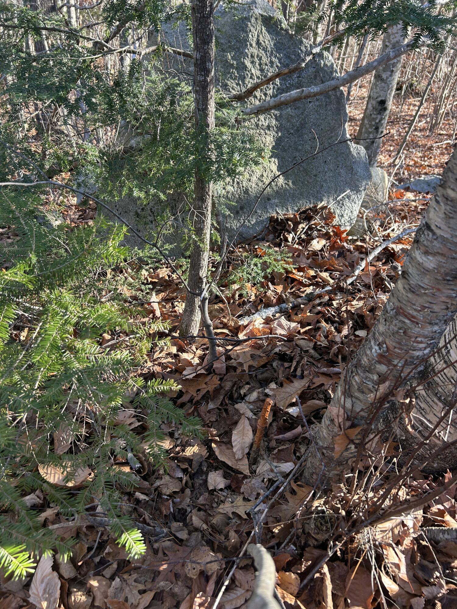 Lot 138 Pennmaric Road Augusta, ME 04330 - Photo 9 of 14 IMG_2384