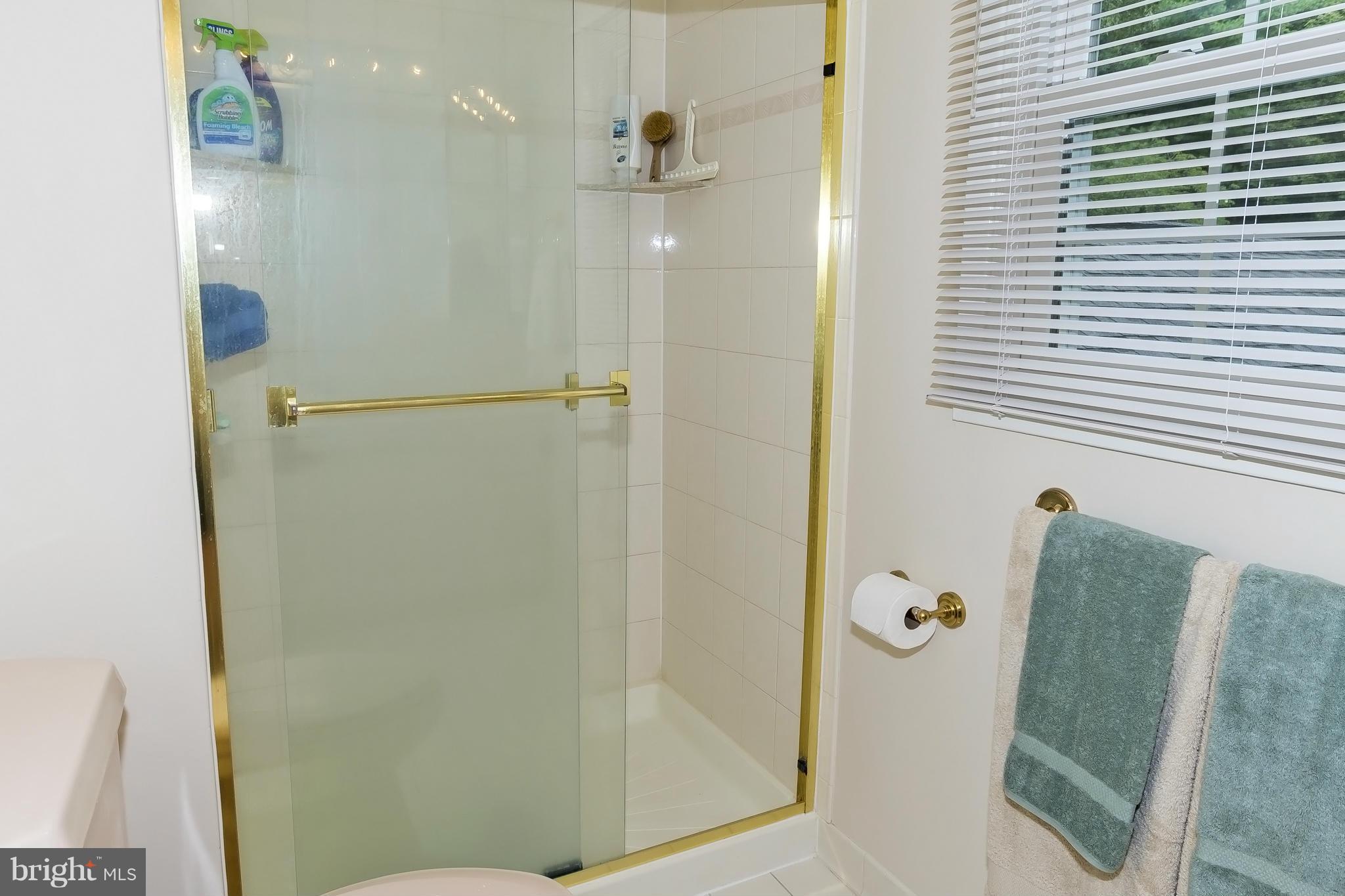 1716 Truro Road Crofton, MD 21114 - Photo 20 of 30 Bath (Master)