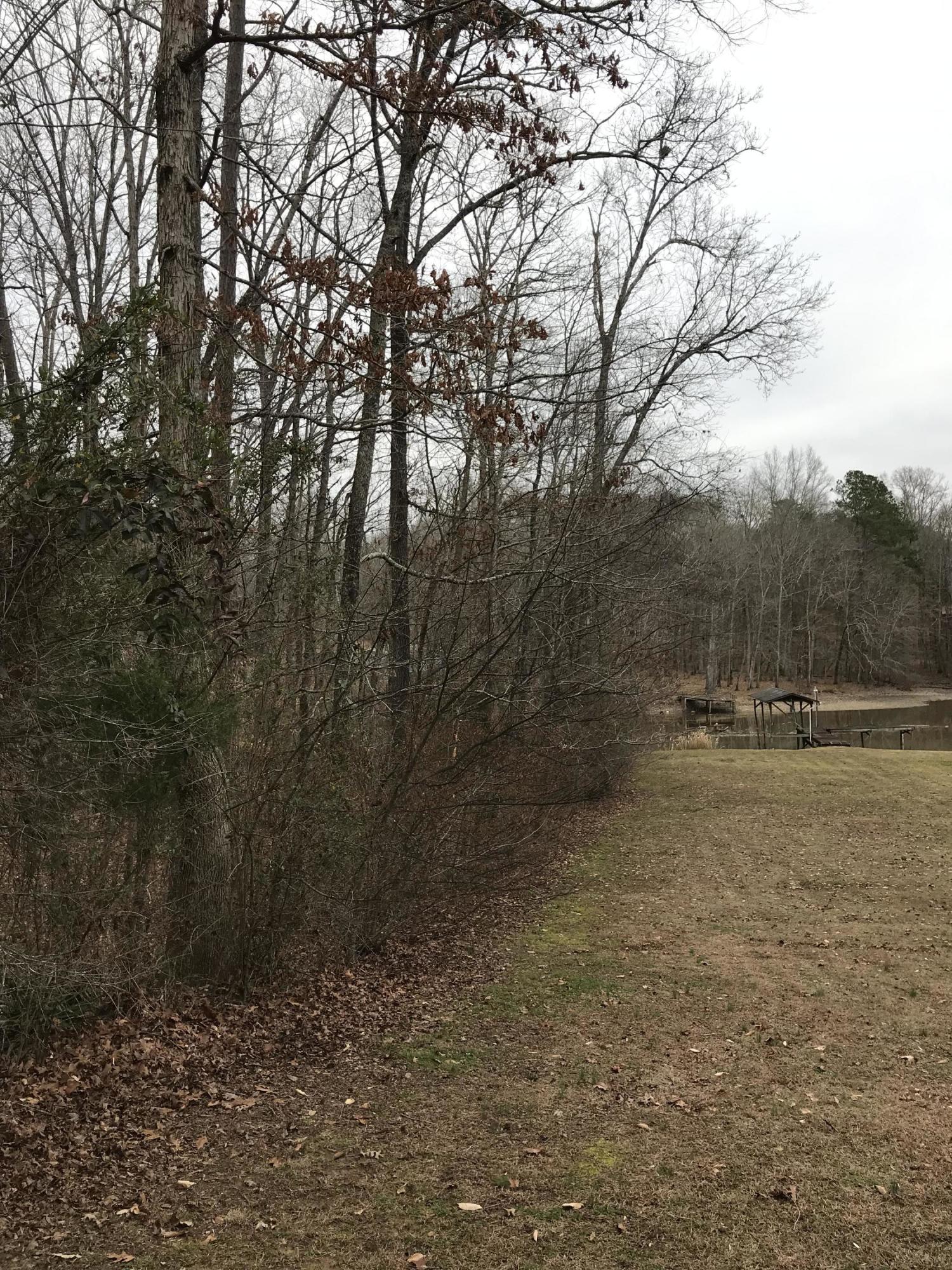 Lot 38 Holly Glen Road, Unit 38 Decatur, TN 37322 - Photo 12 of 21 44354A14-A8F4-49CC-ABB8-CD2C888C625C