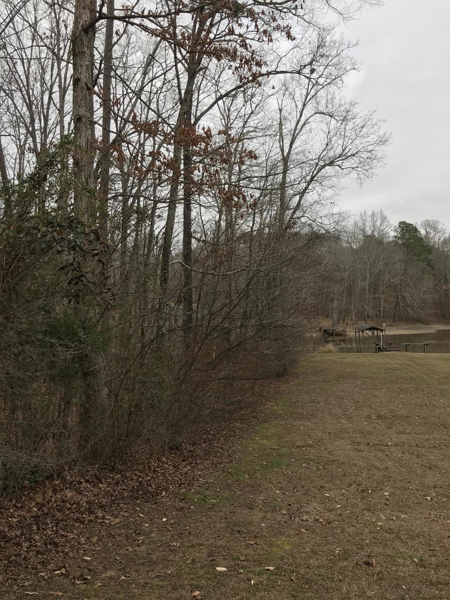 Lot 38 Holly Glen Road, Unit 38 Decatur, TN 37322 - Photo 13 of 21 4A13739B-060E-47DF-93ED-8C54A53E4C82