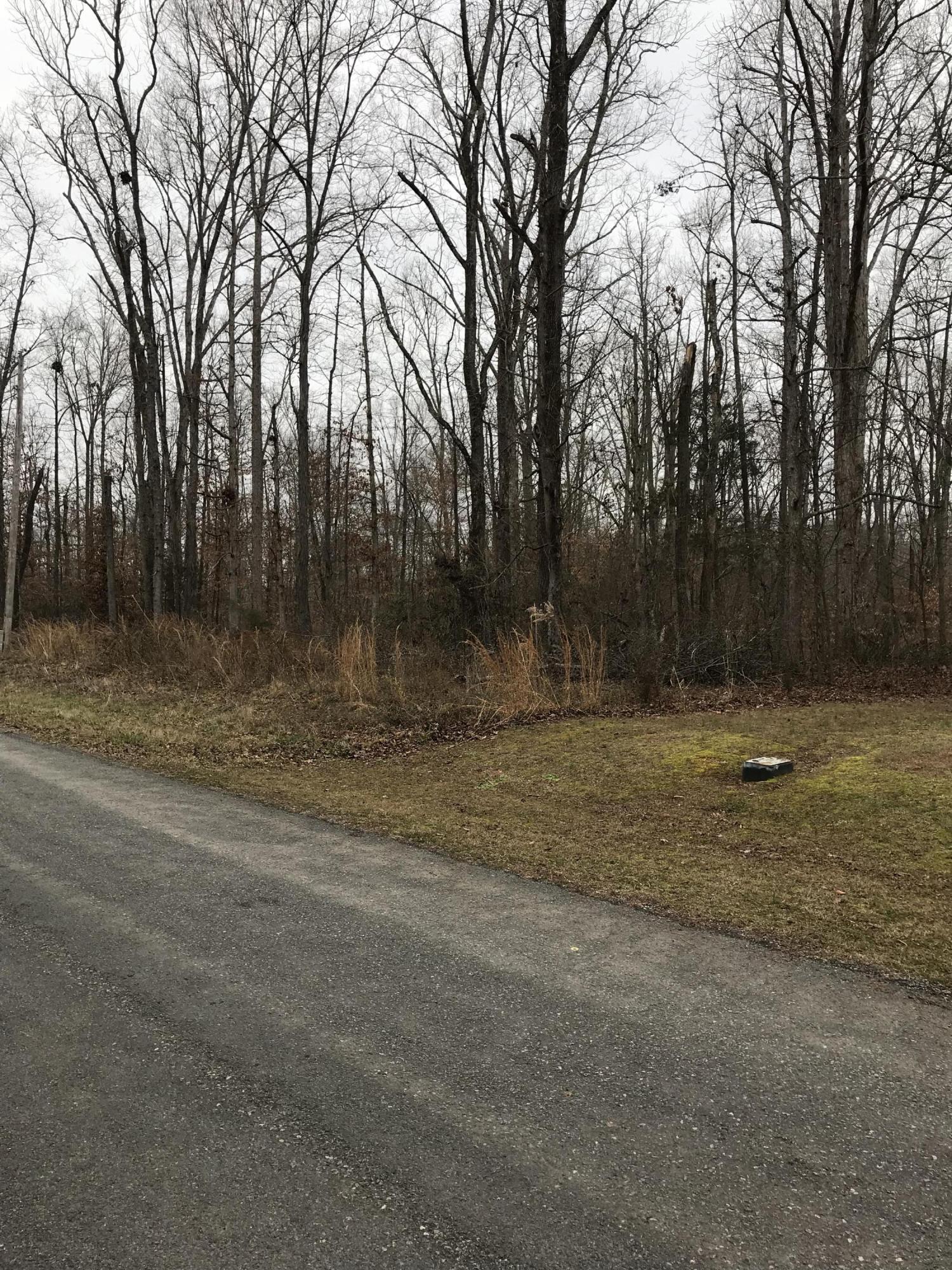 Lot 38 Holly Glen Road, Unit 38 Decatur, TN 37322 - Photo 15 of 21 A1C8AAE9-0957-4A4D-A566-1B458765C15D