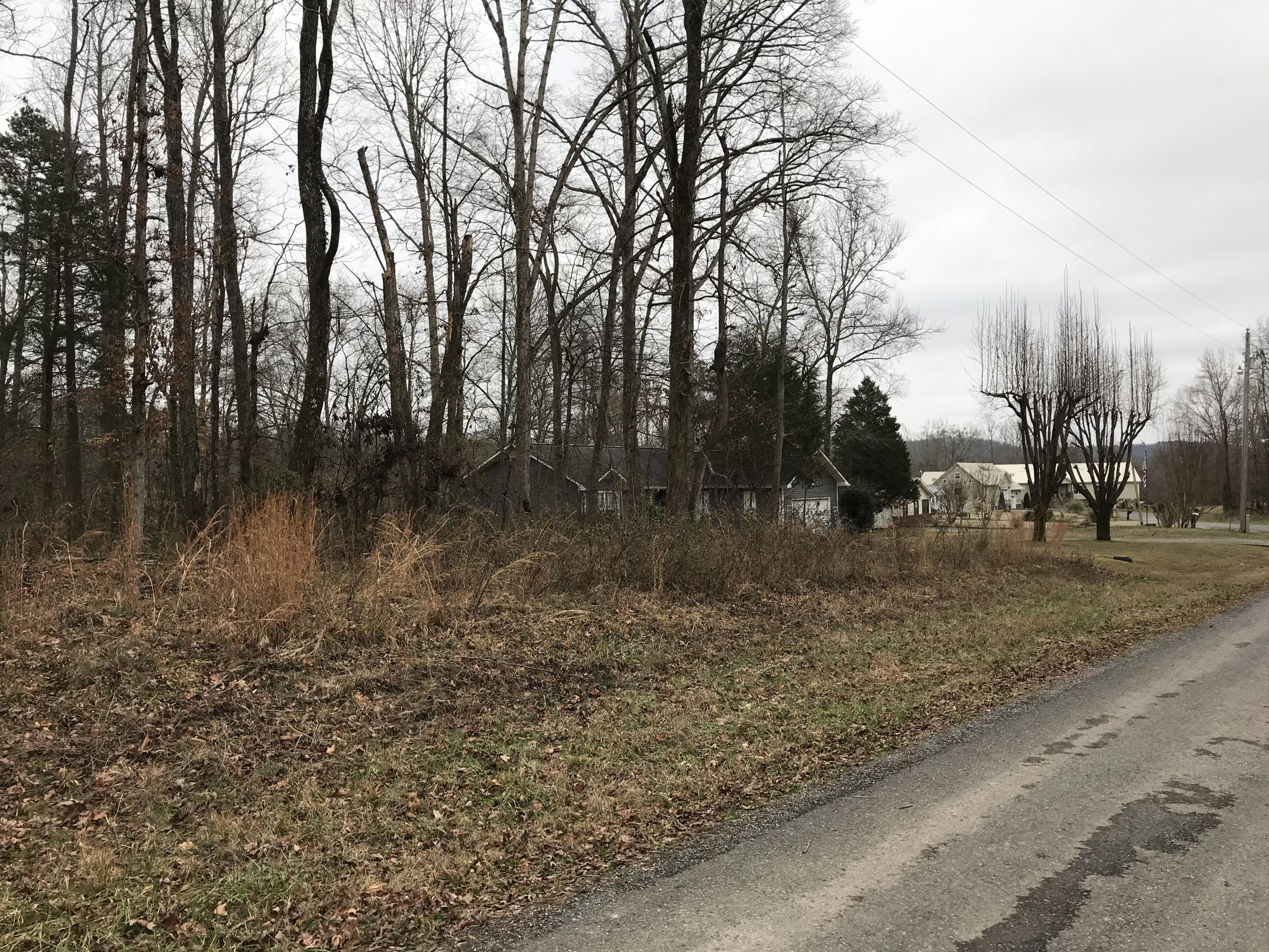 Lot 38 Holly Glen Road, Unit 38 Decatur, TN 37322 - Photo 16 of 21 EDADFA06-DA21-4C30-A515-F452C86E0A09