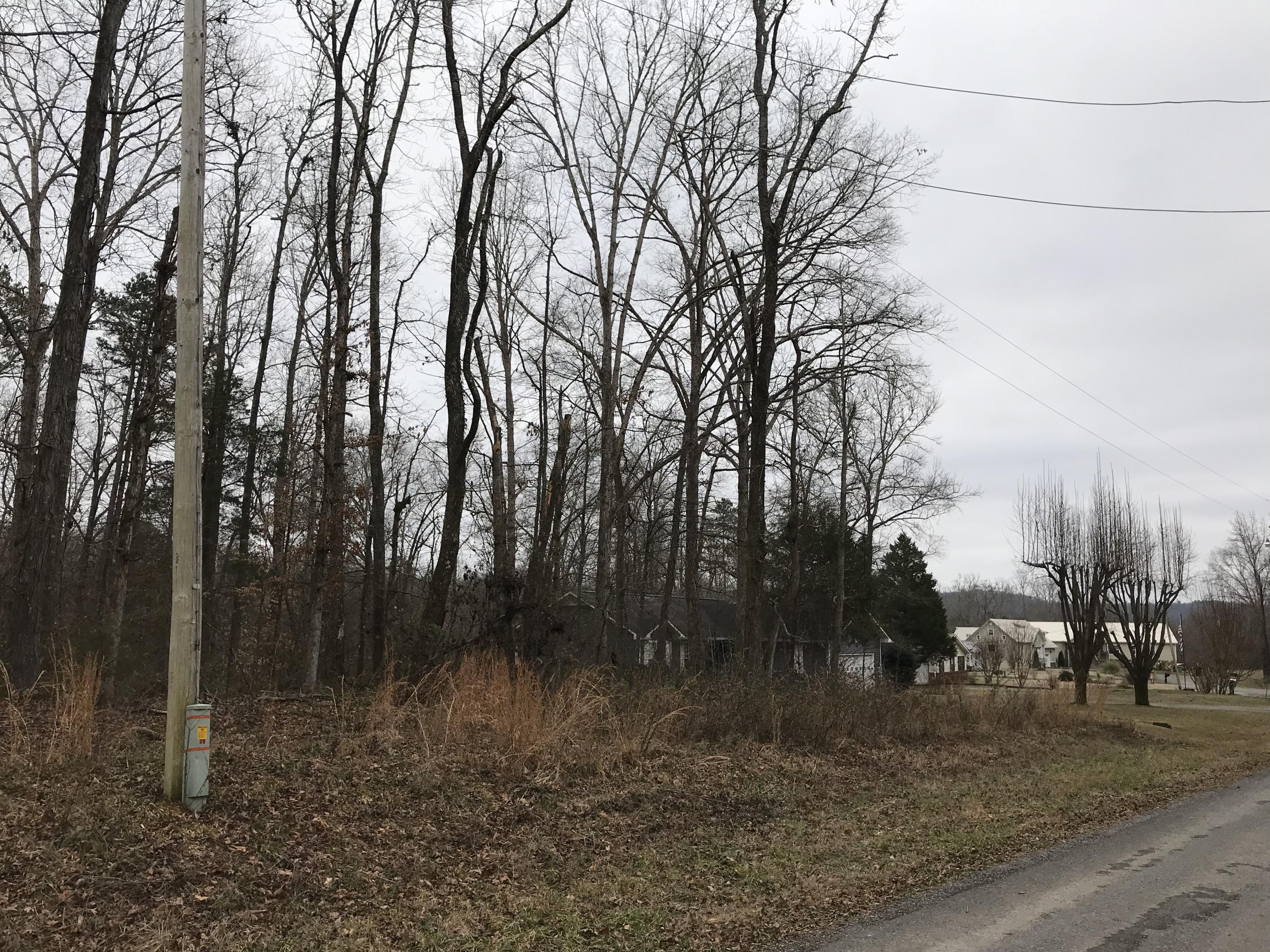 Lot 38 Holly Glen Road, Unit 38 Decatur, TN 37322 - Photo 17 of 21 D03030F0-B59E-4879-8436-564DD1CC879A