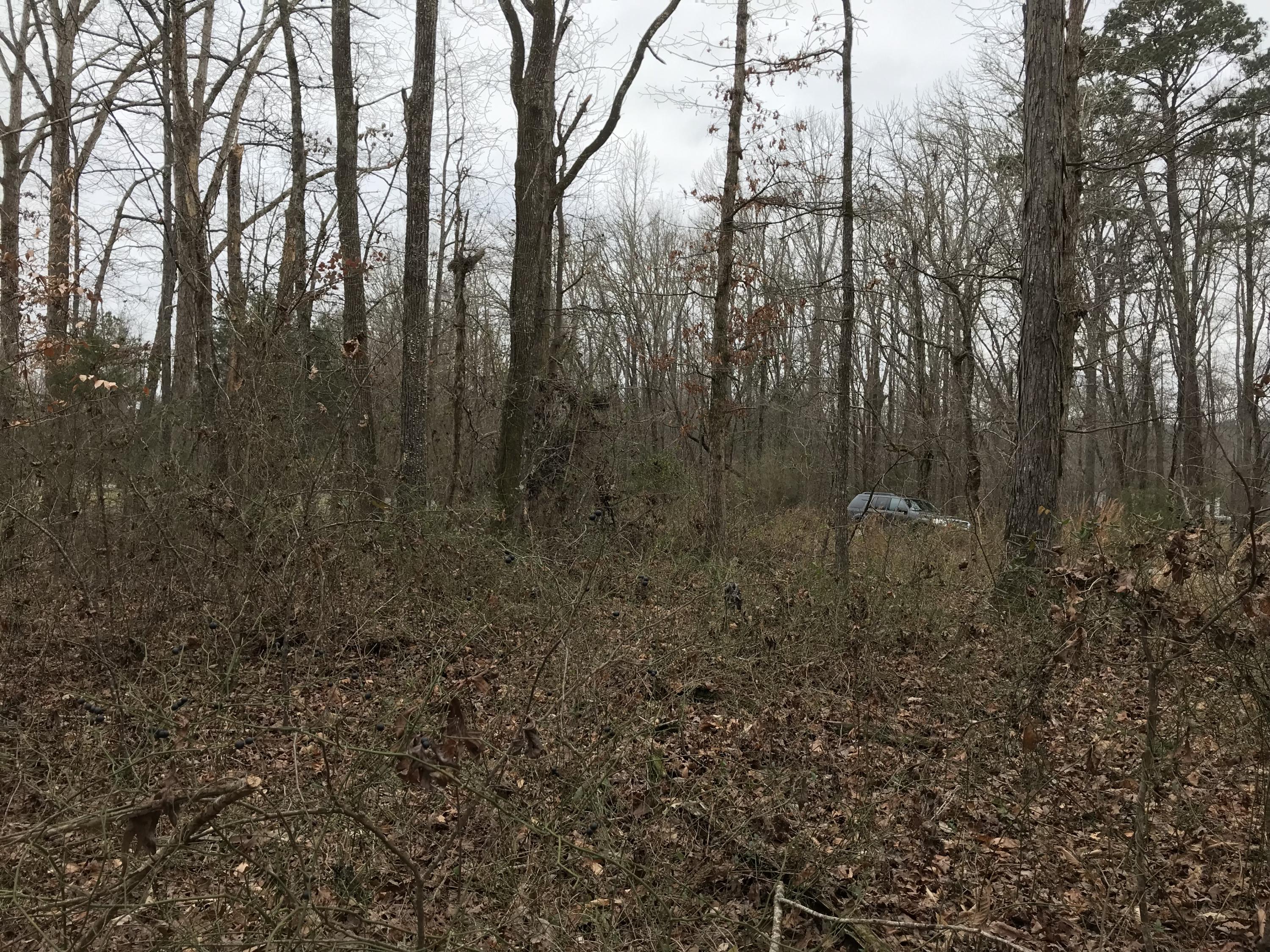 Lot 38 Holly Glen Road, Unit 38 Decatur, TN 37322 - Photo 18 of 21 22975688-FB02-4BDB-B580-AFDE967D7859