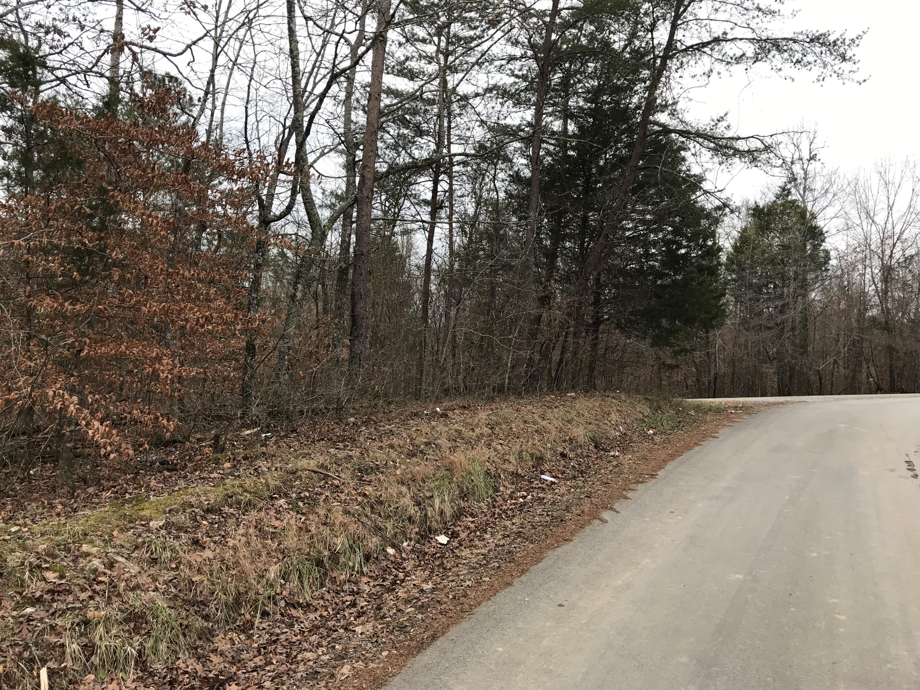 Lot 38 Holly Glen Road, Unit 38 Decatur, TN 37322 - Photo 21 of 21 E4140977-9F00-4A7D-8967-DC9AA05A6FD0