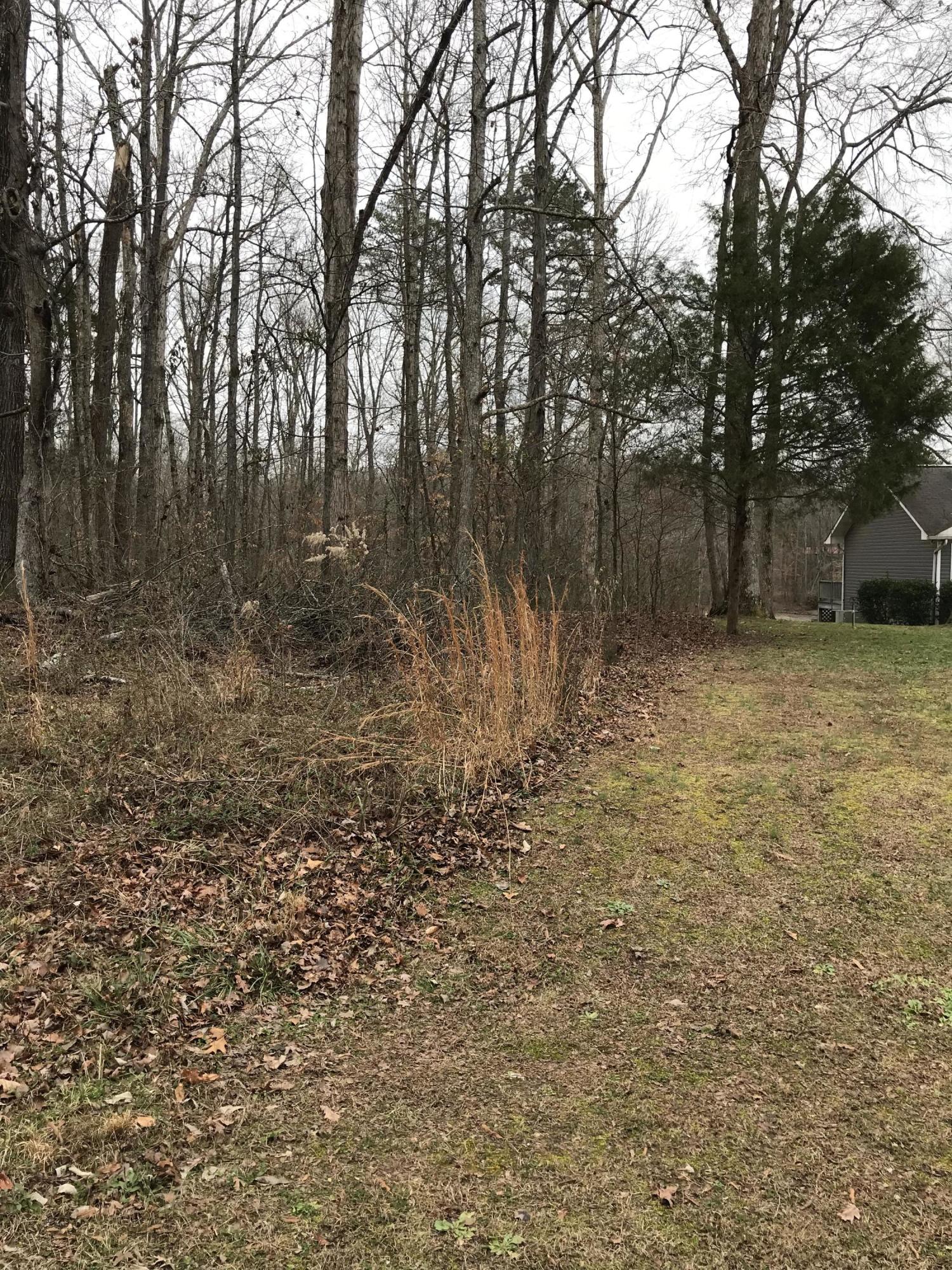 Lot 38 Holly Glen Road, Unit 38 Decatur, TN 37322 - Photo 3 of 21 B317E5BF-6DBD-491C-8E6E-A932E96FCE88