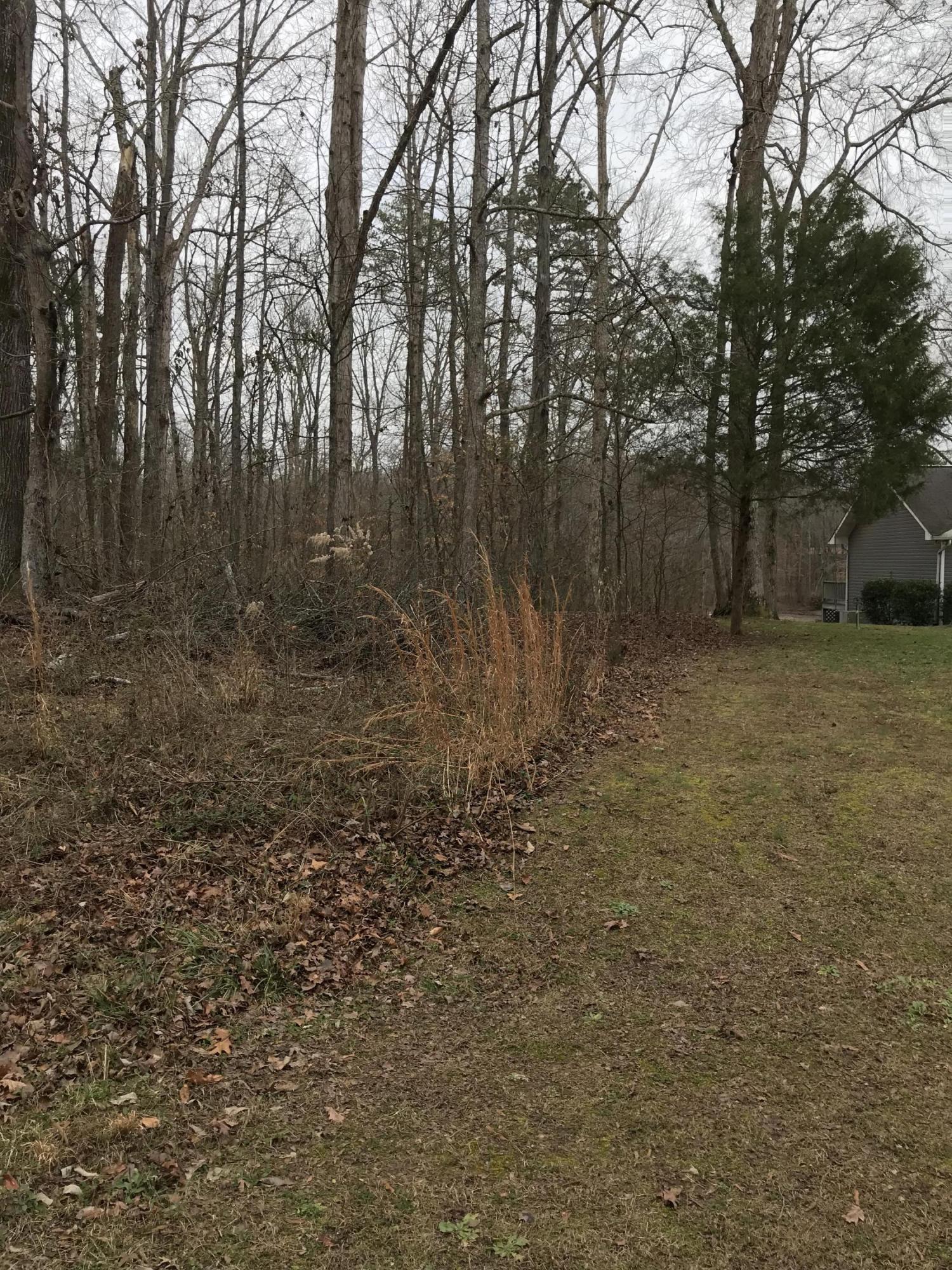Lot 38 Holly Glen Road, Unit 38 Decatur, TN 37322 - Photo 4 of 21 D40DB506-5395-4922-8CCE-8868EA23AB50