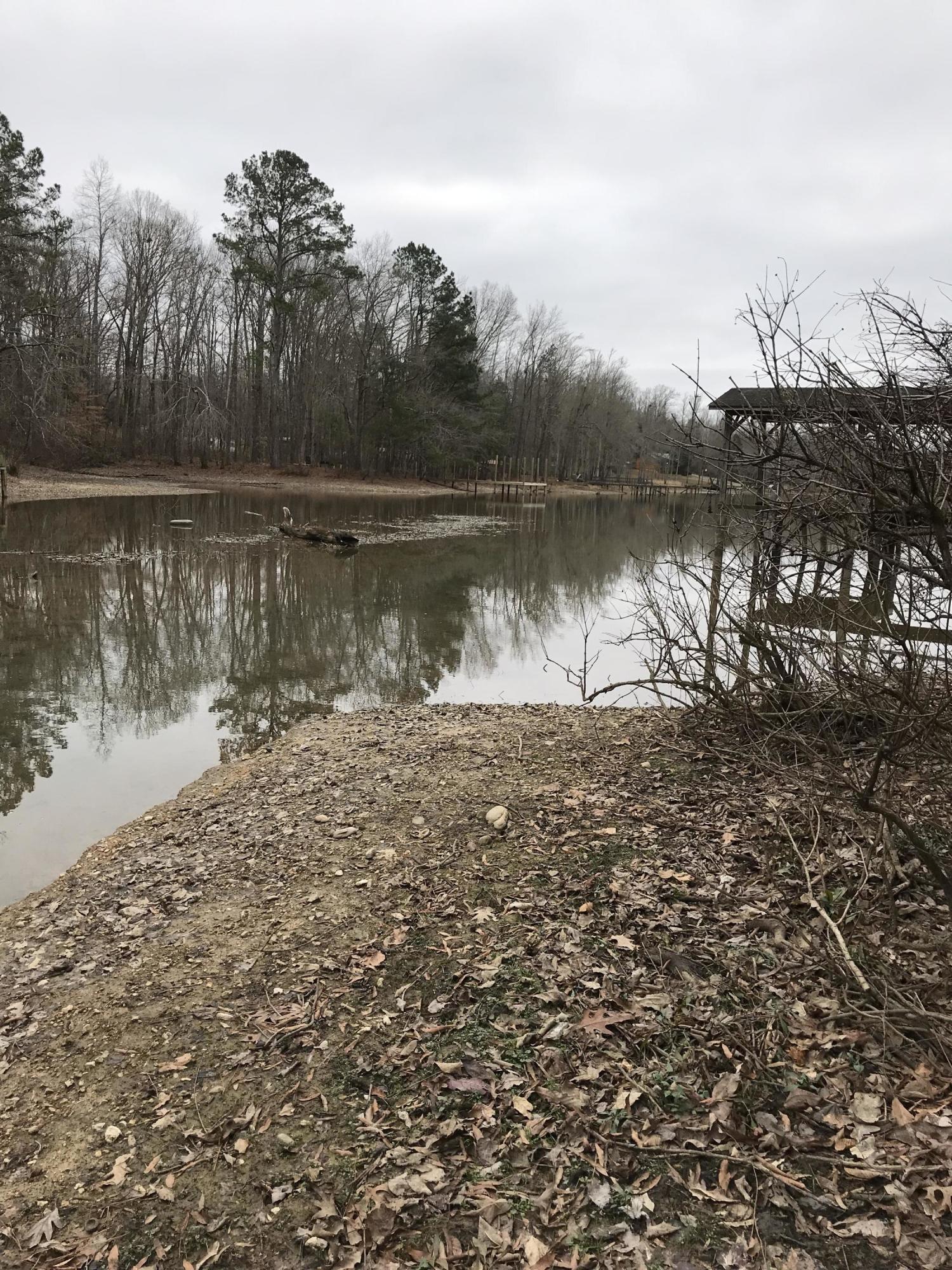 Lot 38 Holly Glen Road, Unit 38 Decatur, TN 37322 - Photo 6 of 21 7E83AA51-1302-46E1-B047-51214966981F