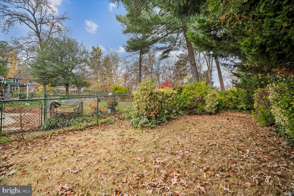 47 Ridge Road Greenbelt, MD 20770 - Photo 34 of 38 a view of a yard with plants and large trees