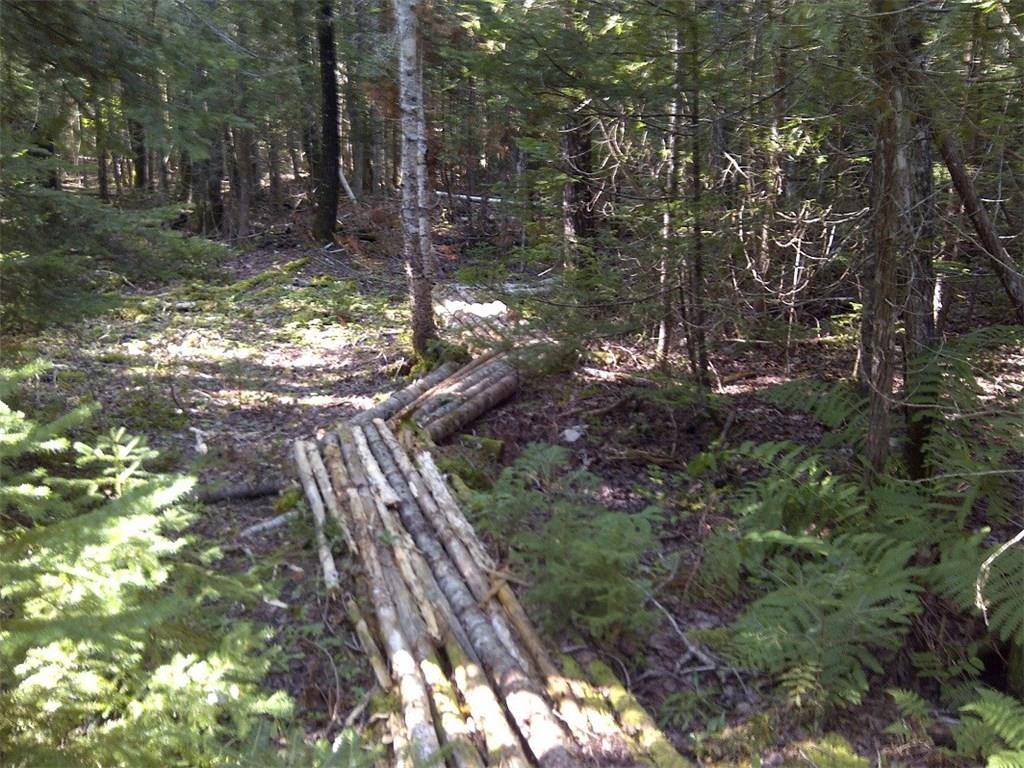 79 Coffins Neck Road Lubec, ME 04652 - Photo 5 of 8 Path