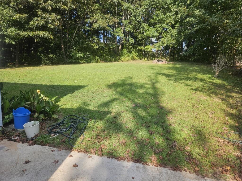 4121 Burgundy Way Flowery Branch, GA 30542 - Photo 15 of 15 a view of yard with green space