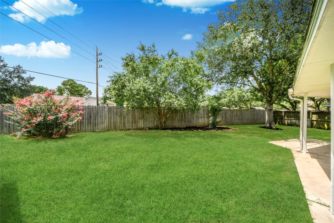 8510 Canyon Pine Drive Spring, TX 77379 - Photo 39 of 42 a view of a yard with a tree