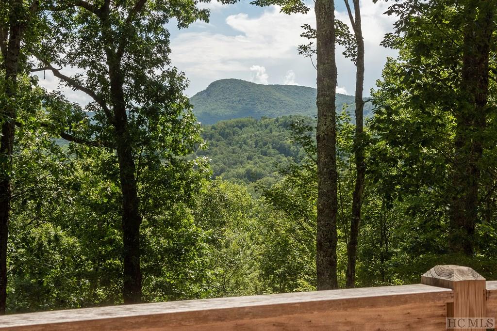 285 Trillium Ridge Road Cullowhee, NC 28723 - Photo 19 of 37 Gallery Image 19