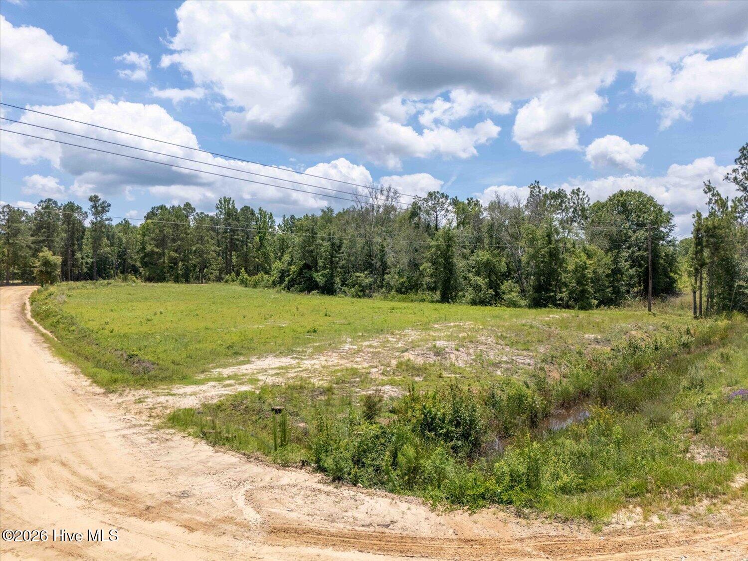 7 Hereford Road Swainsboro, GA 30401 - Photo 5 of 7
