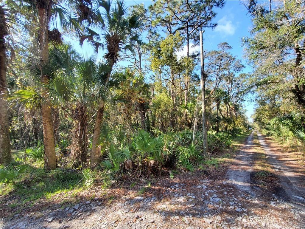 8738 Lindy Lane New Port Richey, FL 34655 - Photo 2 of 9 a view of a yard with plants and large trees