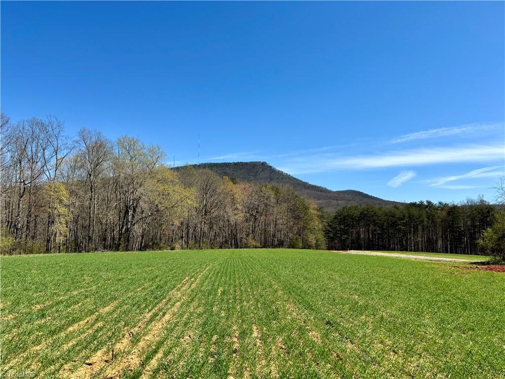 6 Old Mill Road Pinnacle, NC 27043 - Photo 2 of 29